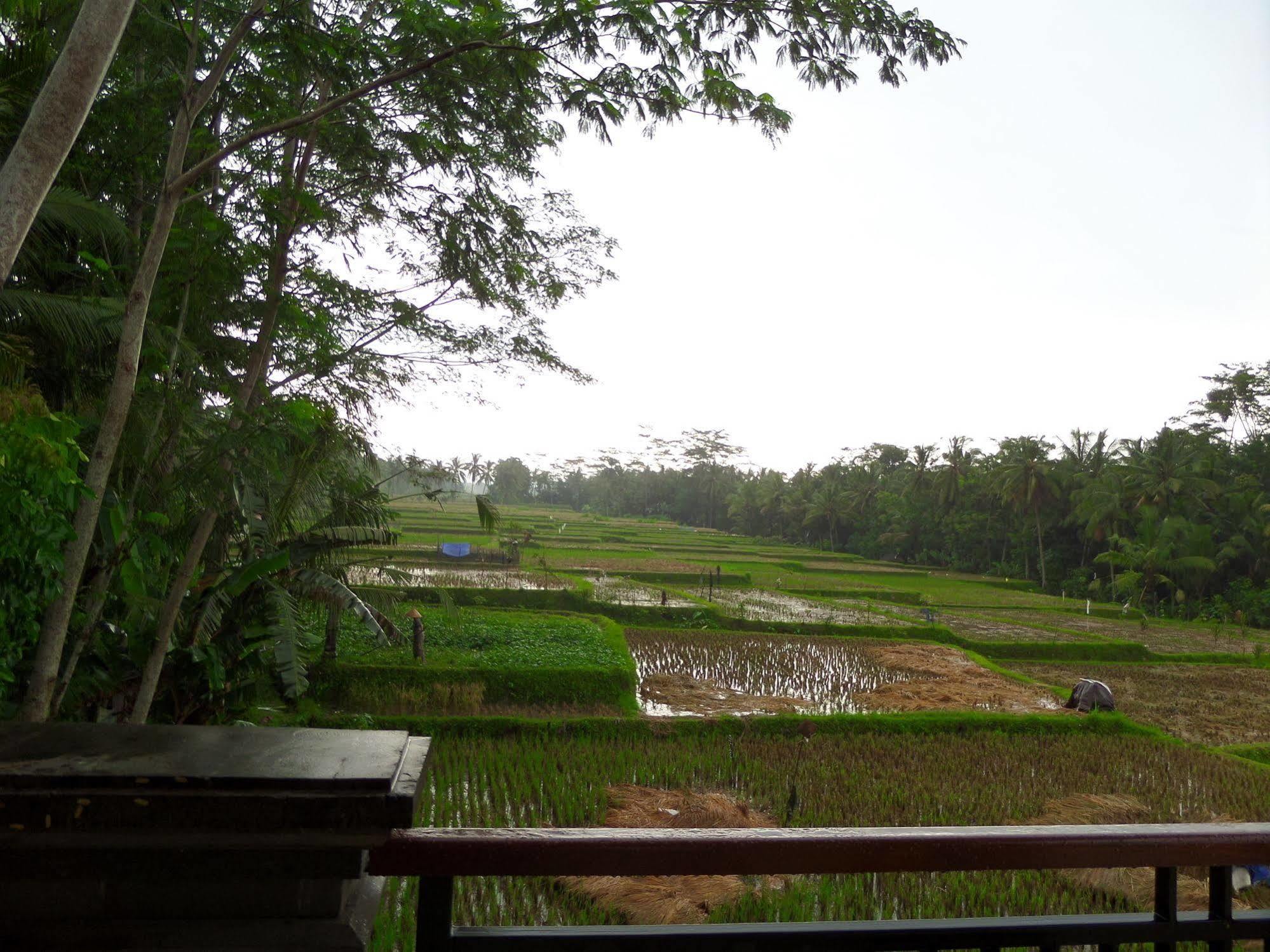 Inang Villa Ubud Exterior foto